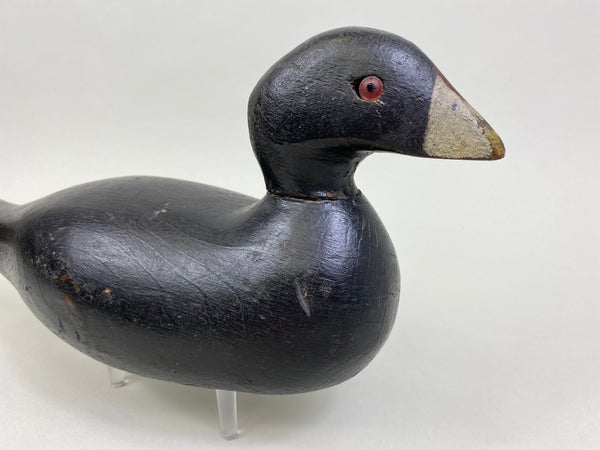 Pratt Factory Coot (#8028)