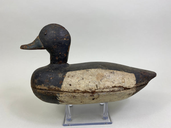 Chester Wilcoxen Bluebill Drake (#8030)