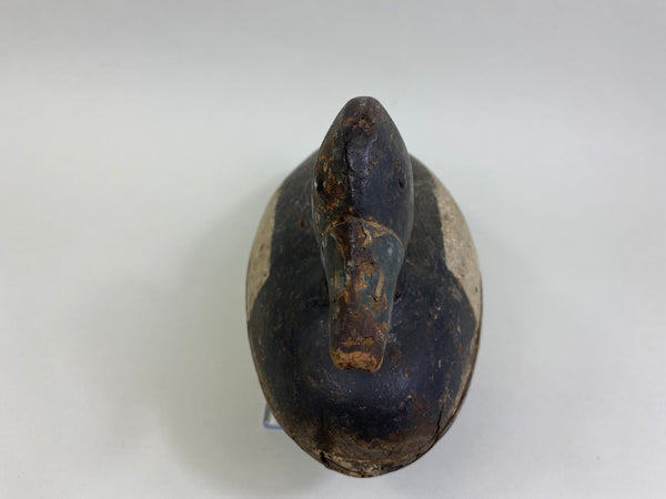 Chester Wilcoxen Bluebill Drake (#8030)