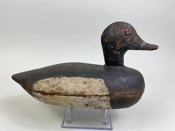 Chester Wilcoxen Bluebill Drake (#8030)