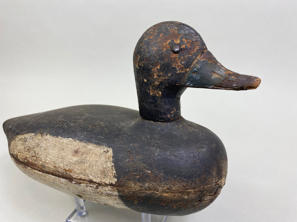 Chester Wilcoxen Bluebill Drake (#8030)