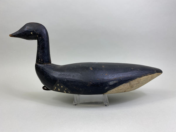 Early East Coast Brant (#8041)