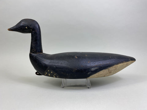 Early East Coast Brant (#8041)