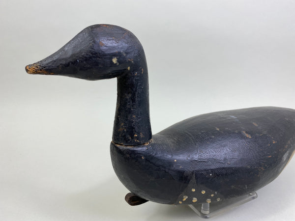 Early East Coast Brant (#8041)
