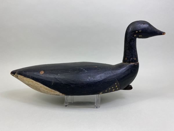 Early East Coast Brant (#8041)