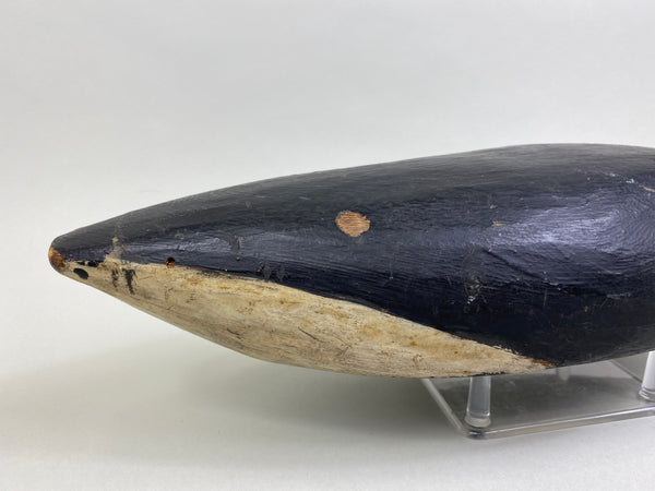 Early East Coast Brant (#8041)