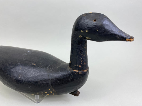 Early East Coast Brant (#8041)