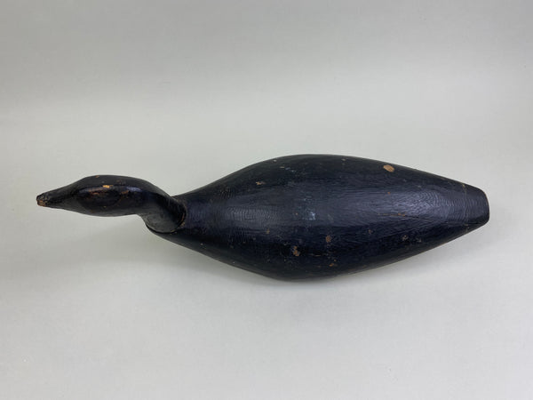 Early East Coast Brant (#8041)