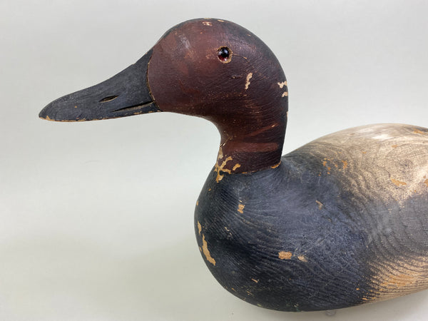 Pratt Canvasback Drake Seneca Lake Model (#8046)