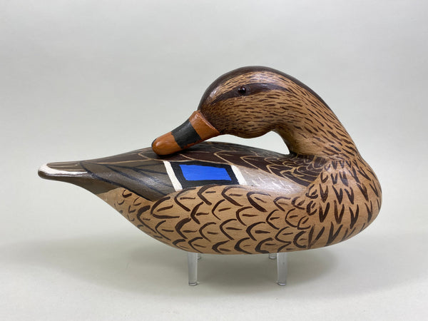 Herman Glick Sleeper Mallard Hen (#8057)
