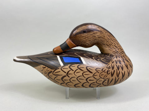 Herman Glick Sleeper Mallard Hen (#8057)