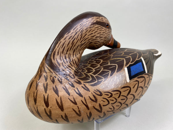 Herman Glick Sleeper Mallard Hen (#8057)