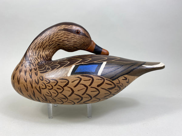 Herman Glick Sleeper Mallard Hen (#8057)