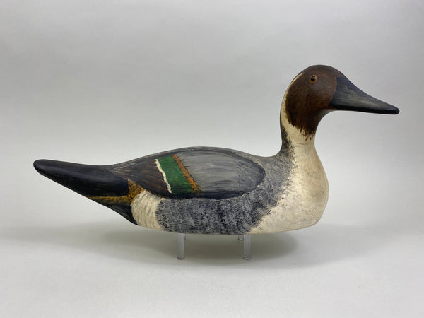 Evans Factory Pintail Drake (#8060)