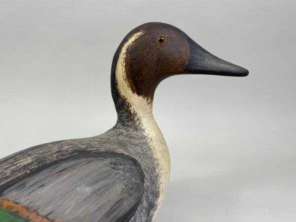 Evans Factory Pintail Drake (#8060)