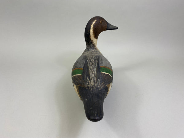 Evans Factory Pintail Drake (#8060)