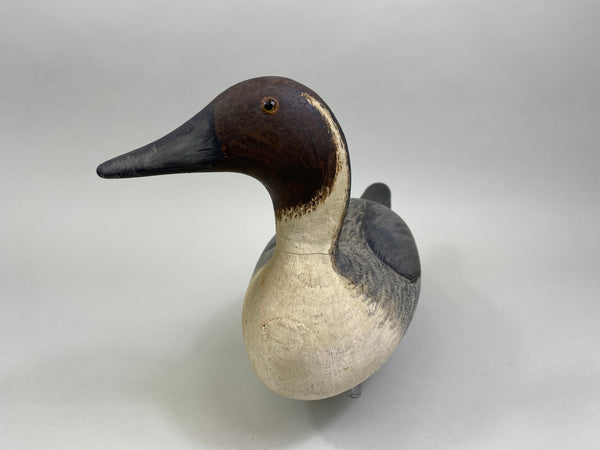 Evans Factory Pintail Drake (#8060)