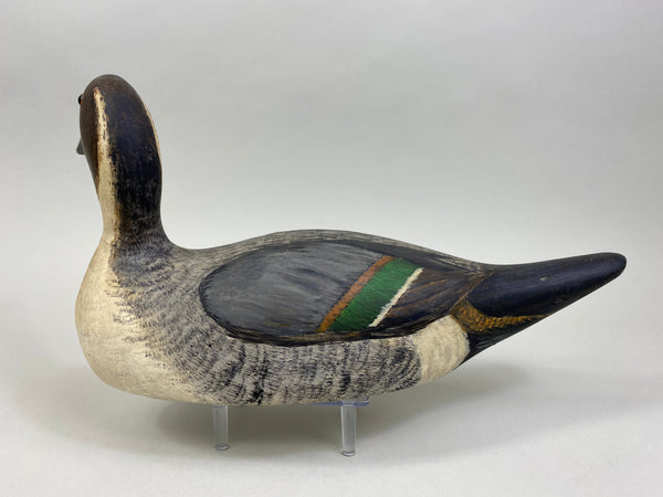 Evans Factory Pintail Drake (#8060)