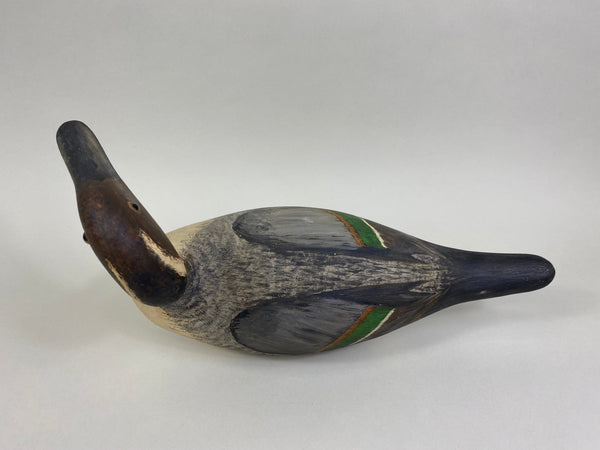 Evans Factory Pintail Drake (#8060)