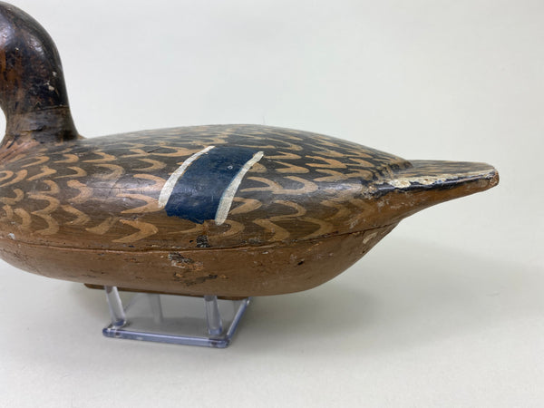 William Shaw Mallard Hen (#8063)