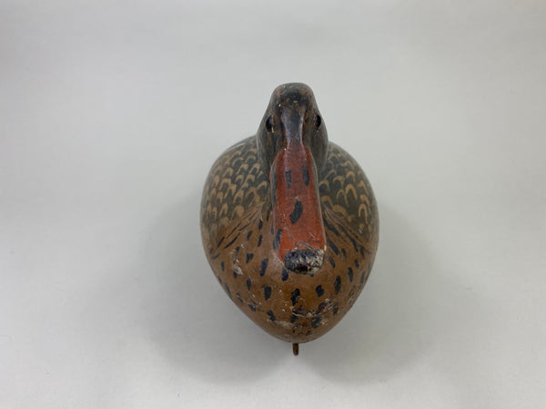 William Shaw Mallard Hen (#8063)