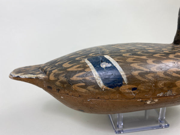 William Shaw Mallard Hen (#8063)