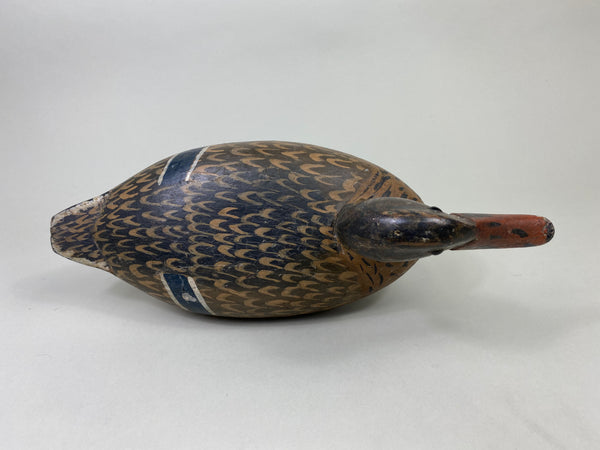 William Shaw Mallard Hen (#8063)