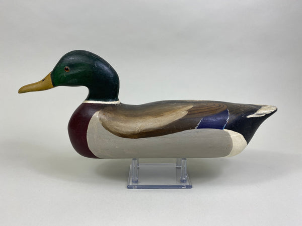 Ray Sours Mallard Drake (#8074)