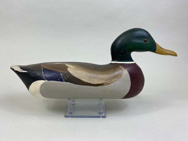 Ray Sours Mallard Drake (#8074)