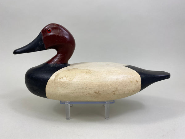 James Pollitt Canvasback Drake (#8083)