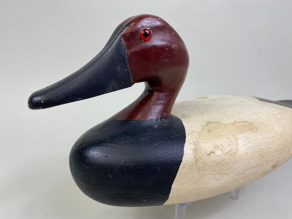 James Pollitt Canvasback Drake (#8083)