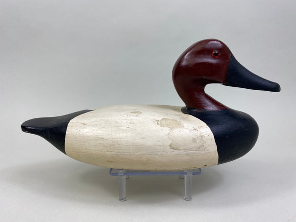 James Pollitt Canvasback Drake (#8083)