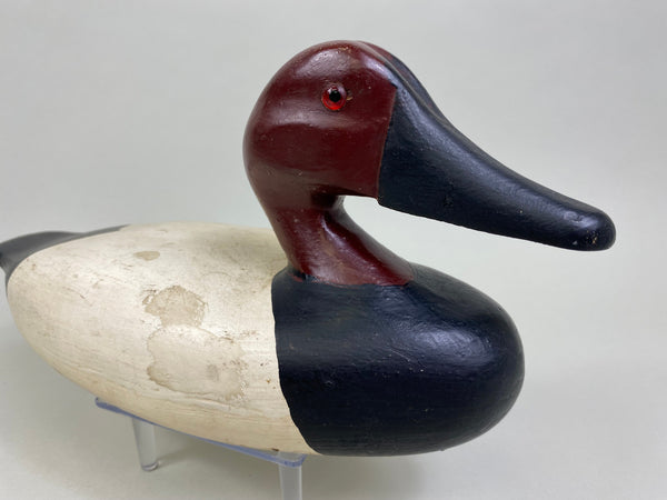 James Pollitt Canvasback Drake (#8083)