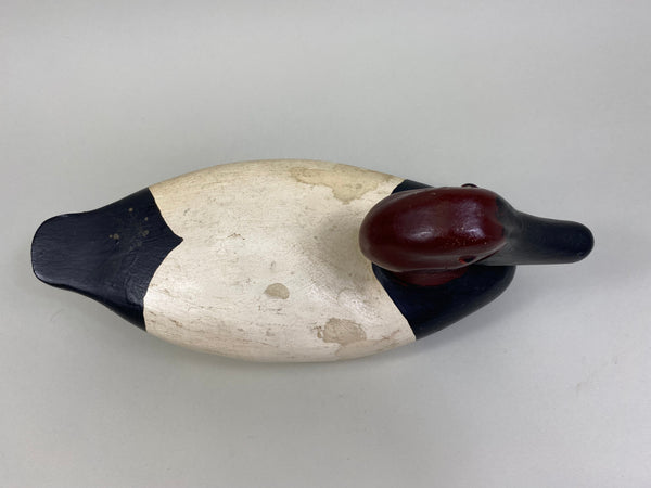 James Pollitt Canvasback Drake (#8083)