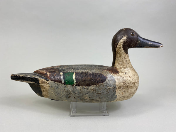 Early Tony Chiado Pintail Drake, used at West End Gun Club (#8086)