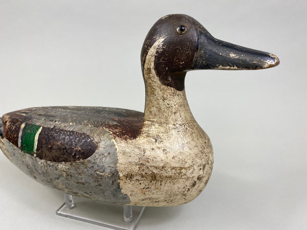 Early Tony Chiado Pintail Drake, used at West End Gun Club (#8086)