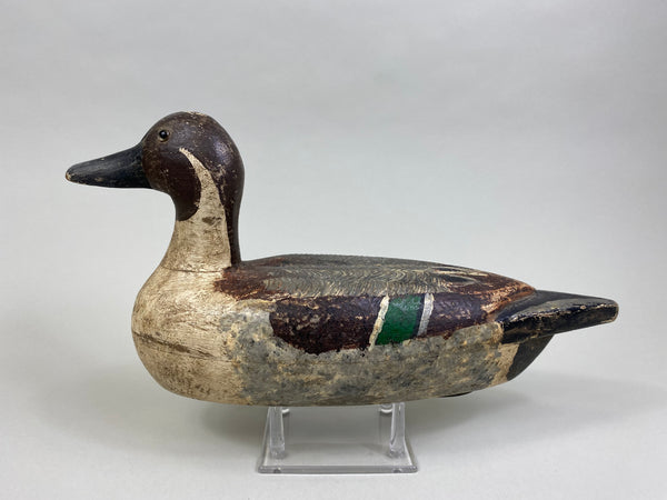 Early Tony Chiado Pintail Drake, used at West End Gun Club (#8086)