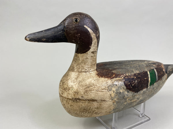 Early Tony Chiado Pintail Drake, used at West End Gun Club (#8086)