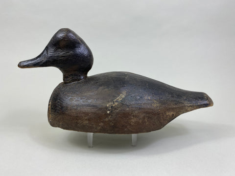 Unknown Wisconsin Goldeneye Hen (#8093)