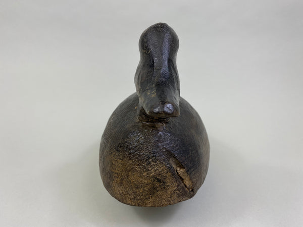 Unknown Wisconsin Goldeneye Hen (#8093)