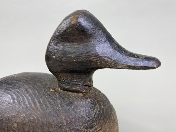 Unknown Wisconsin Goldeneye Hen (#8093)