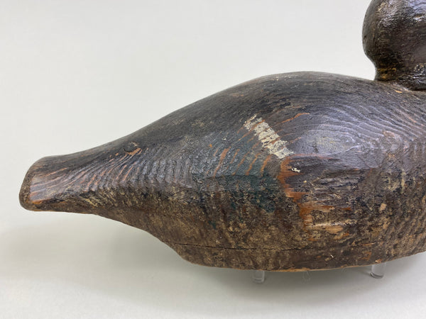 Unknown Wisconsin Goldeneye Hen (#8093)