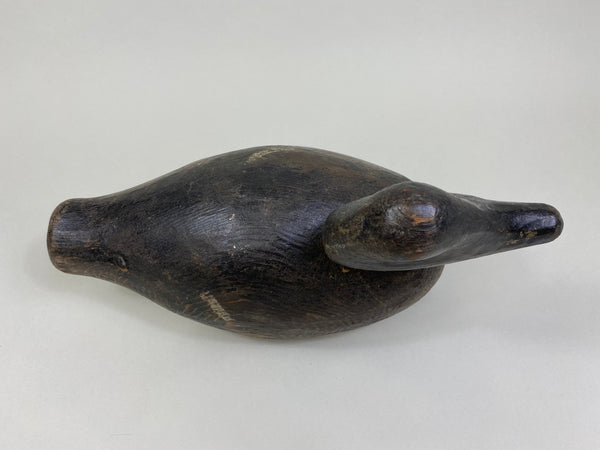 Unknown Wisconsin Goldeneye Hen (#8093)