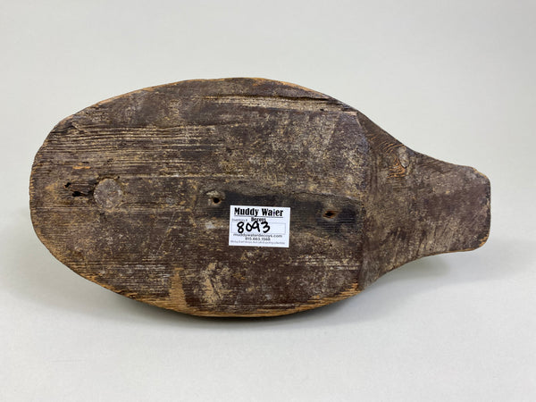 Unknown Wisconsin Goldeneye Hen (#8093)