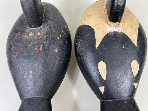 Unknown Maine Pair of Golden Eyes, Inletted Heads (#4745)