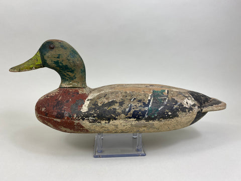 Richard Sheppard Mallard Drake (#8105)