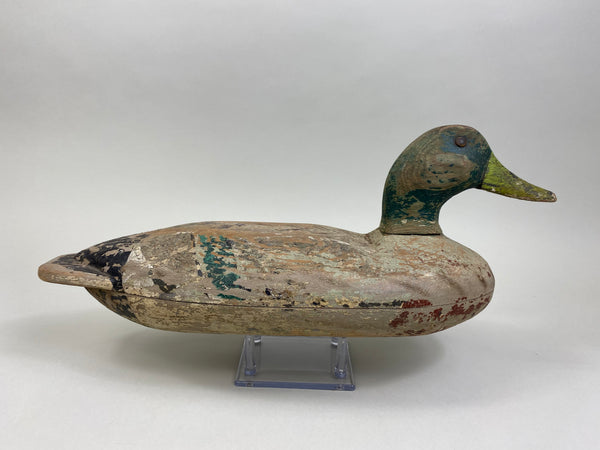 Richard Sheppard Mallard Drake (#8105)
