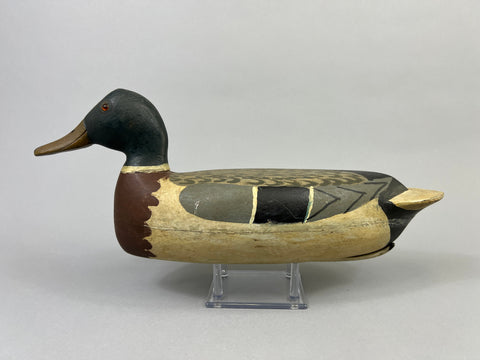 Roy Hancock Mallard Drake (#8485)