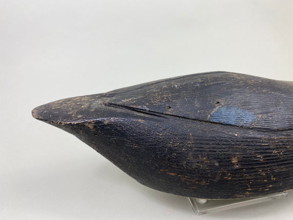 Ontario Black Duck, Circa 1930's (#8128)