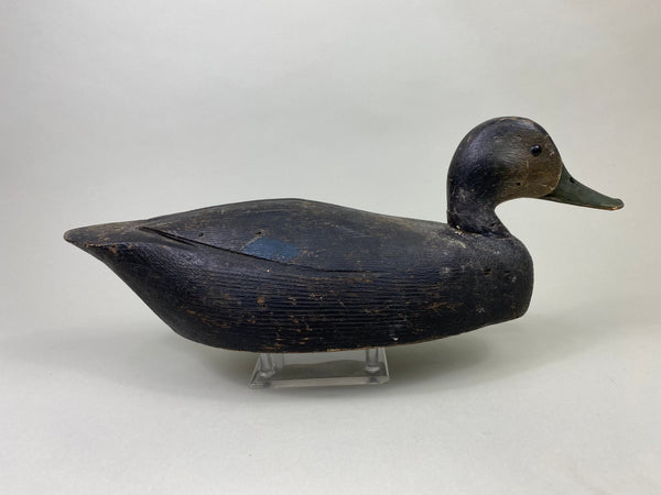 Ontario Black Duck, Circa 1930's (#8128)